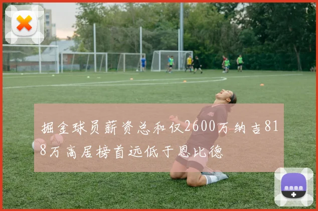 掘金球员薪资总和仅2600万纳吉818万高居榜首远低于恩比德