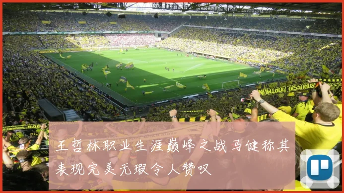 王哲林职业生涯巅峰之战马健称其表现完美无瑕令人赞叹