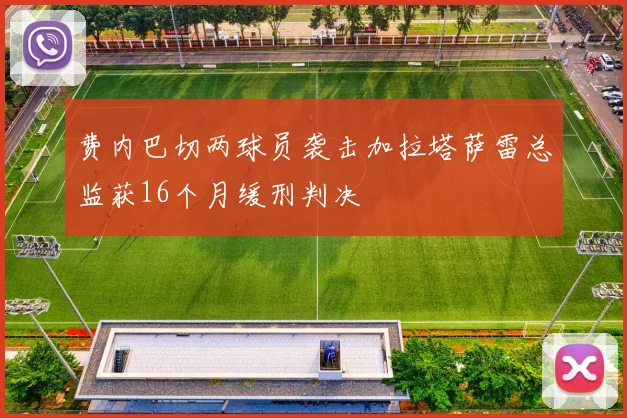 费内巴切两球员袭击加拉塔萨雷总监获16个月缓刑判决